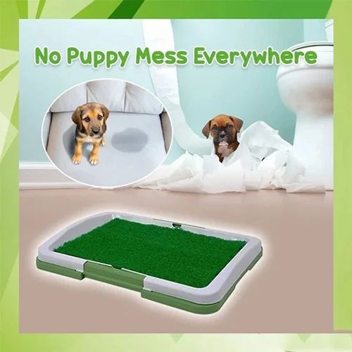 Puppy using indoor grass potty training pad