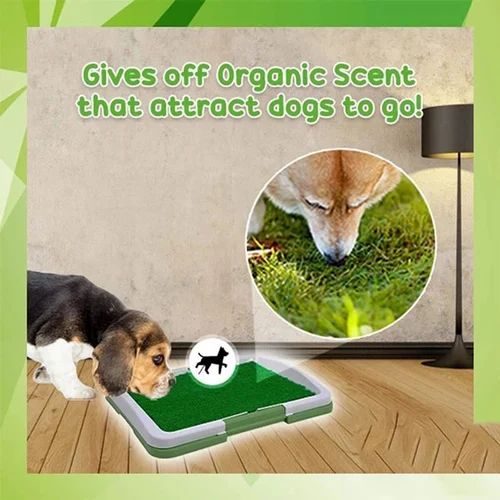 Easy to clean dog pee pad tray for home and balcony